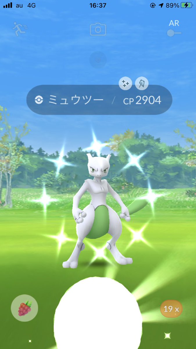 色違いメタモン 色違いメタモン
