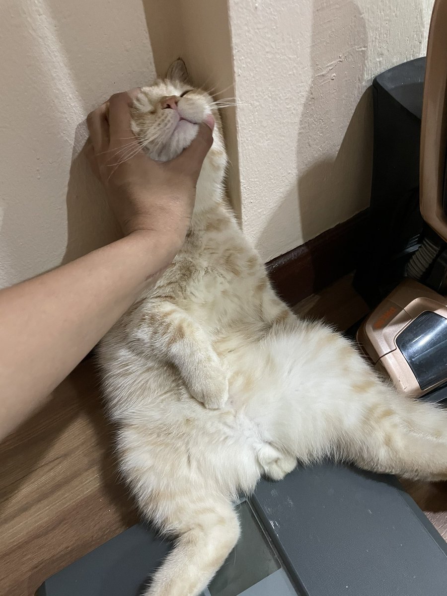 บีมกับน้องๆ tweet media