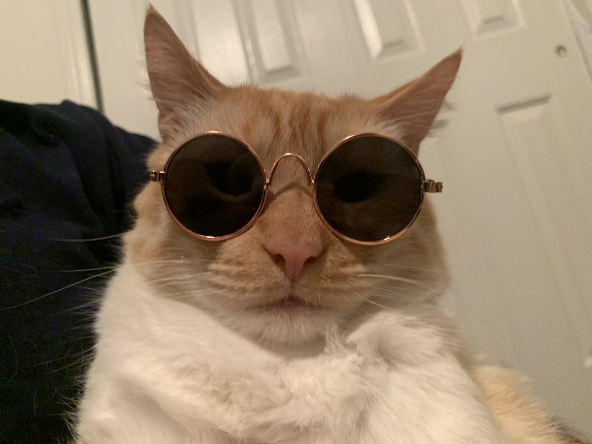 TheoTheGoodBoy's tweet photo. Working on my selfie game https://t.co/YcXLo8PRot