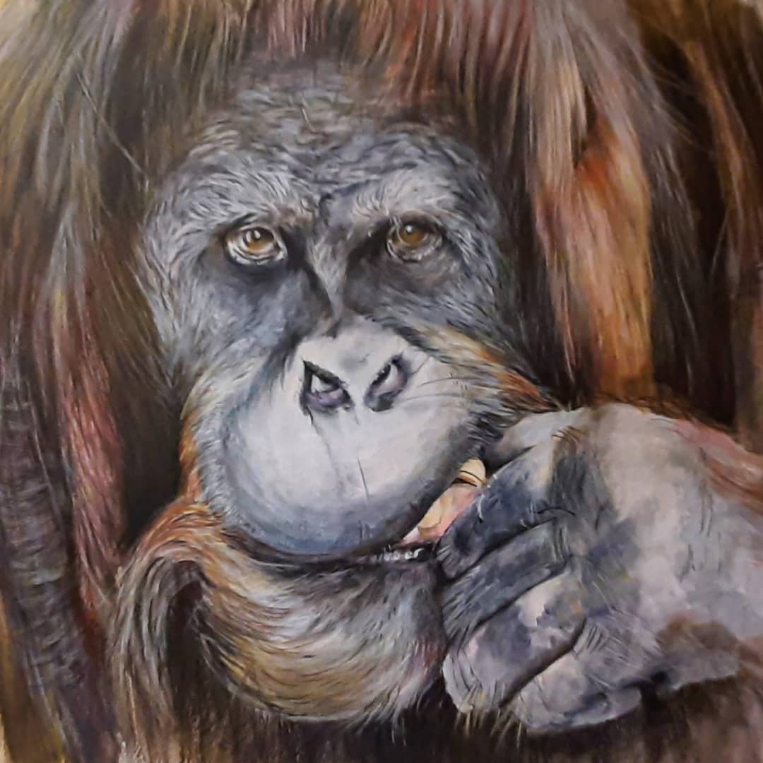 SallyJTaylor's tweet photo. During March, @hertsvisualarts is running the #BigMakersFair. Two paintings will be featured with my book during the month in live events plus a private view. #hertsvisualarts #endangeredanimals #artloveanimals #hertshour #stevenage #hertsartist #explorersagainstextinction https://t.co/3VbouUQ2Iy