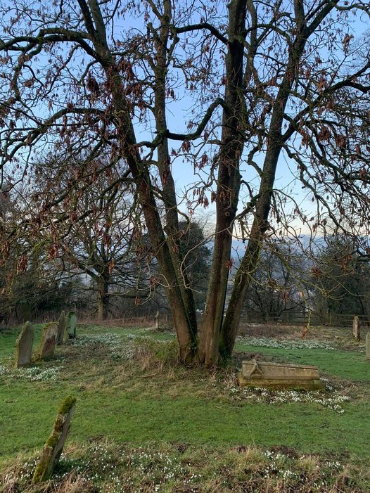 Welcome to our services on Sunday 21st February 2021 (Lent 1):

9.30am Cafe Church ‘Byte Size’ via Zoom (&amp; available to watch later) 

youtube.com/channel/UCepaf…

10.30am Morning Worship online on Holy Trinity Redditch YouTube channel &amp; catch up

youtu.be/ctUp7hZRLvA