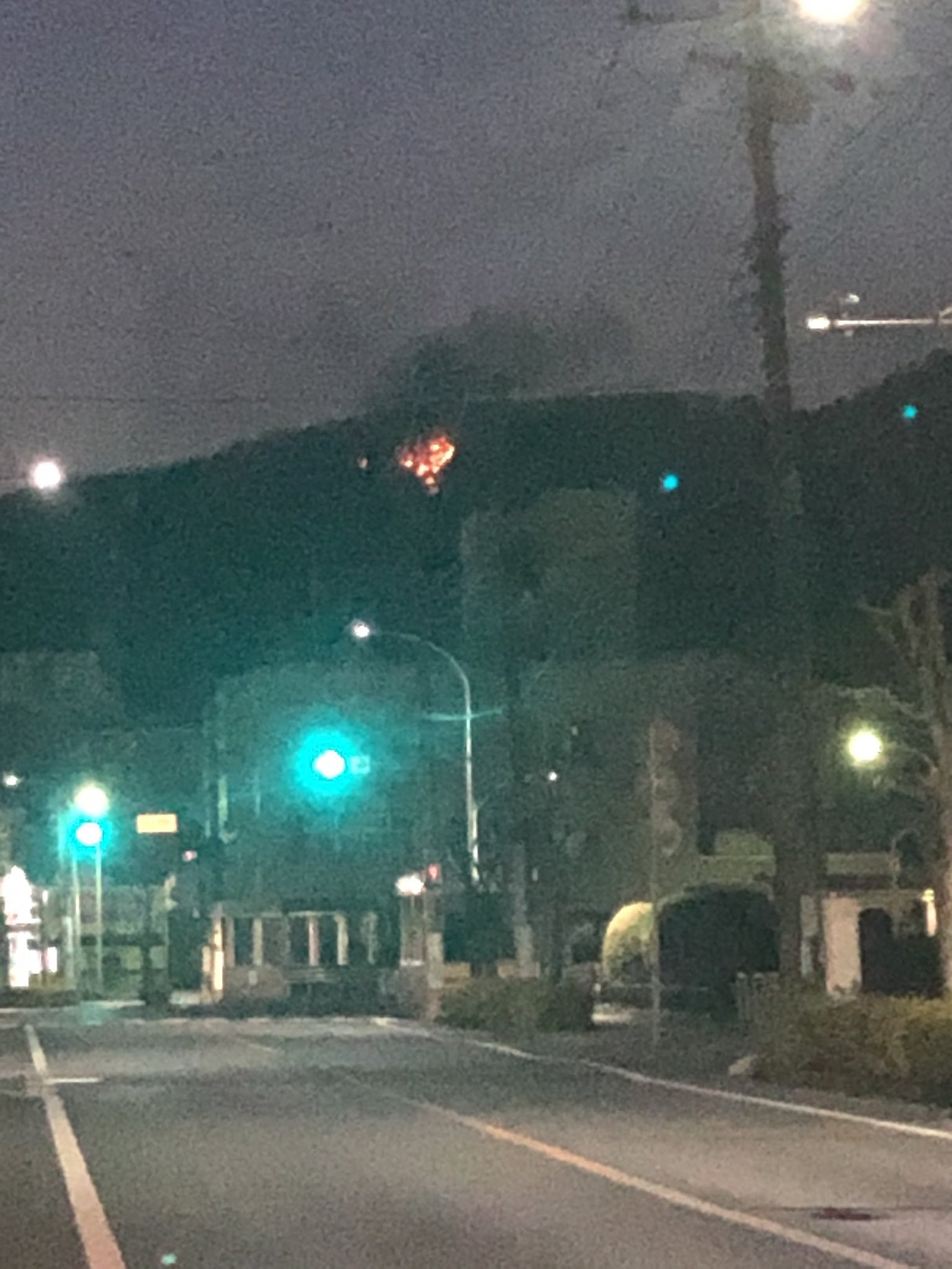 栃木 県 山 火事