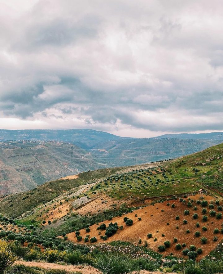 LetsGoToJordan's tweet photo. الفواره-جرش-الأردن🇯🇴🌷
Fawwara-Jerash-Jordan🇯🇴🌷

T.P أيهم حموده🇯🇴📷
@VisitJordanAR

#يلا_على_الأردن #صباح_الخير #صباح_السعاده #الأردن #جرش https://t.co/aUYJGn63Fx