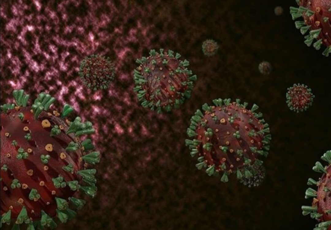 Tunus'ta Covid-19'un, yerel bir mutasyonunun bulunduğu bildirildi.