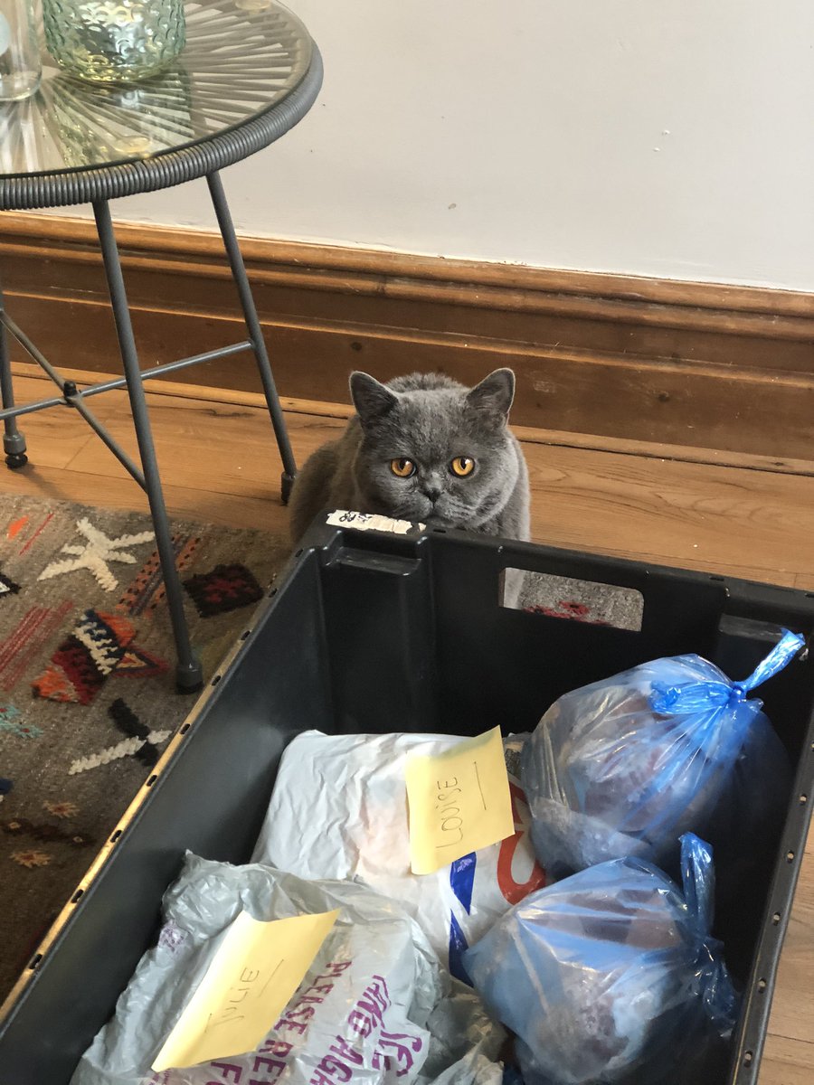 DroleSerge's tweet photo. I take my @MadDogsHomeless Didsbury team supervisor job very seriously. Those food bags from @coop donations are well sorted and will be used in today’s dinners. #didsbury #Homeless #BeKind #charity #CatsOfTwitter https://t.co/gRkOZqSlcy