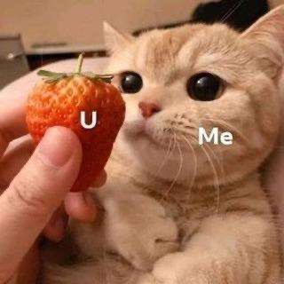 Bubblyeol's tweet photo. IT’S OUR FOURTH BIRTHDAY SINCE WE’VE KNOWN EACH OTHER?? and there’ll be soooo many others until we’re old grannies with grey hair with a cane and we’ll still celebrate 😤 i can’t wait to meet you this will be the mostest beautiful day ever :(( HAPPY WONDERFUL BIRTHDAY BABIE!! 🥺 https://t.co/aiLgbNr0gD