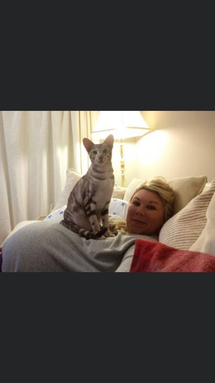 Merry #SundayMorning everybody and all #CatsOfTwitter! Time for a restful day looking after my #humans