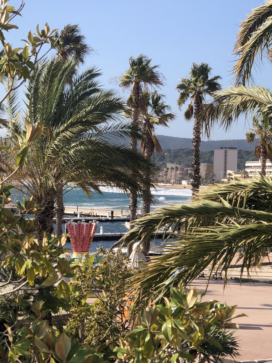 fantomas247's tweet image. 