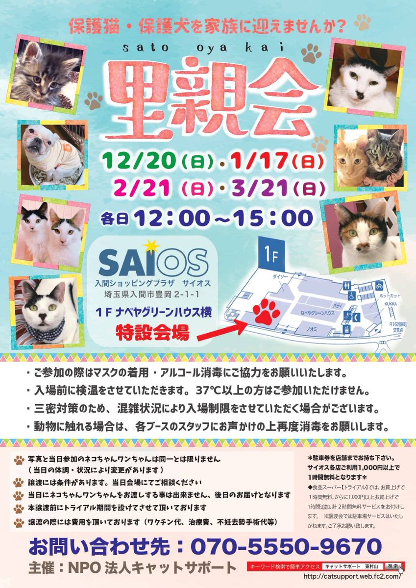 狭山市 猫カフェ Funnycat Instagramでファンが多かった スクリューくんも 無事にお声がかかりました O O ご縁ってやっぱりあるよね しっかり食べて元気に大きくなって幸せになるんだよ 次回の里親会は3 21 日 入間ショッピングプラザ