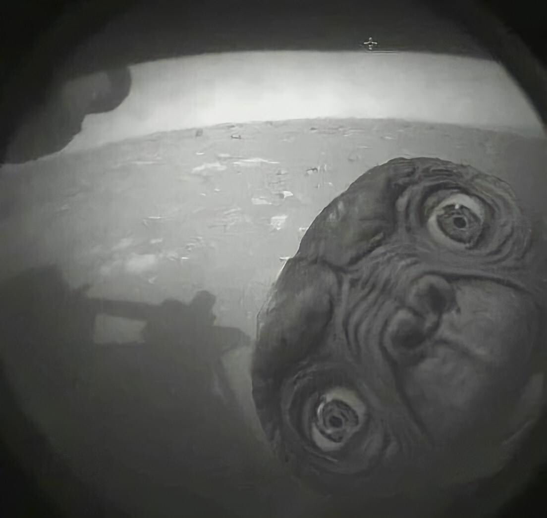 Rob Burley tweet media