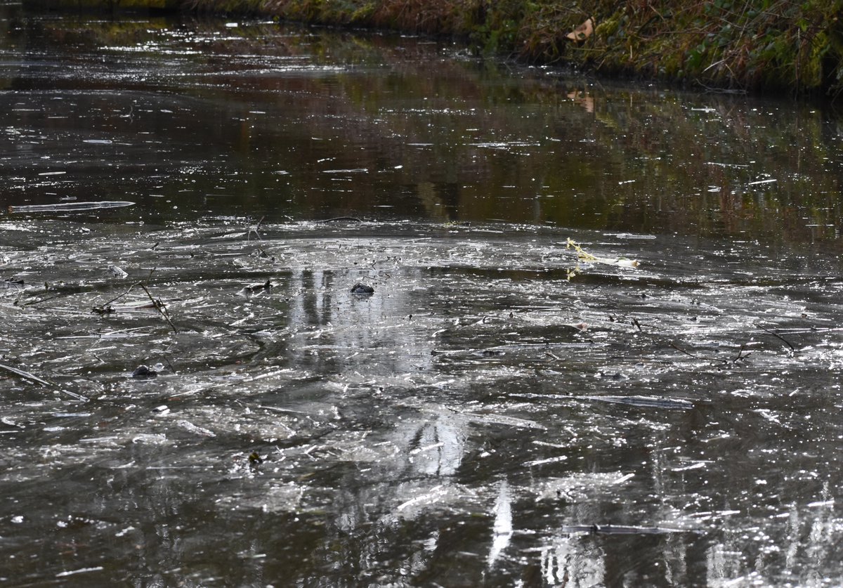 FoxesAfloat's tweet photo. A week ago, oil pollution began entering the Peak Forest Canal at Furness Vale. We contacted @CanalRiverTrust EVERY DAY. After 5 days of inaction we went public to get them to take it seriously. We thought they had, but a week later the spill is spreading and worsening. 1/3 https://t.co/tD9bGkkFik
