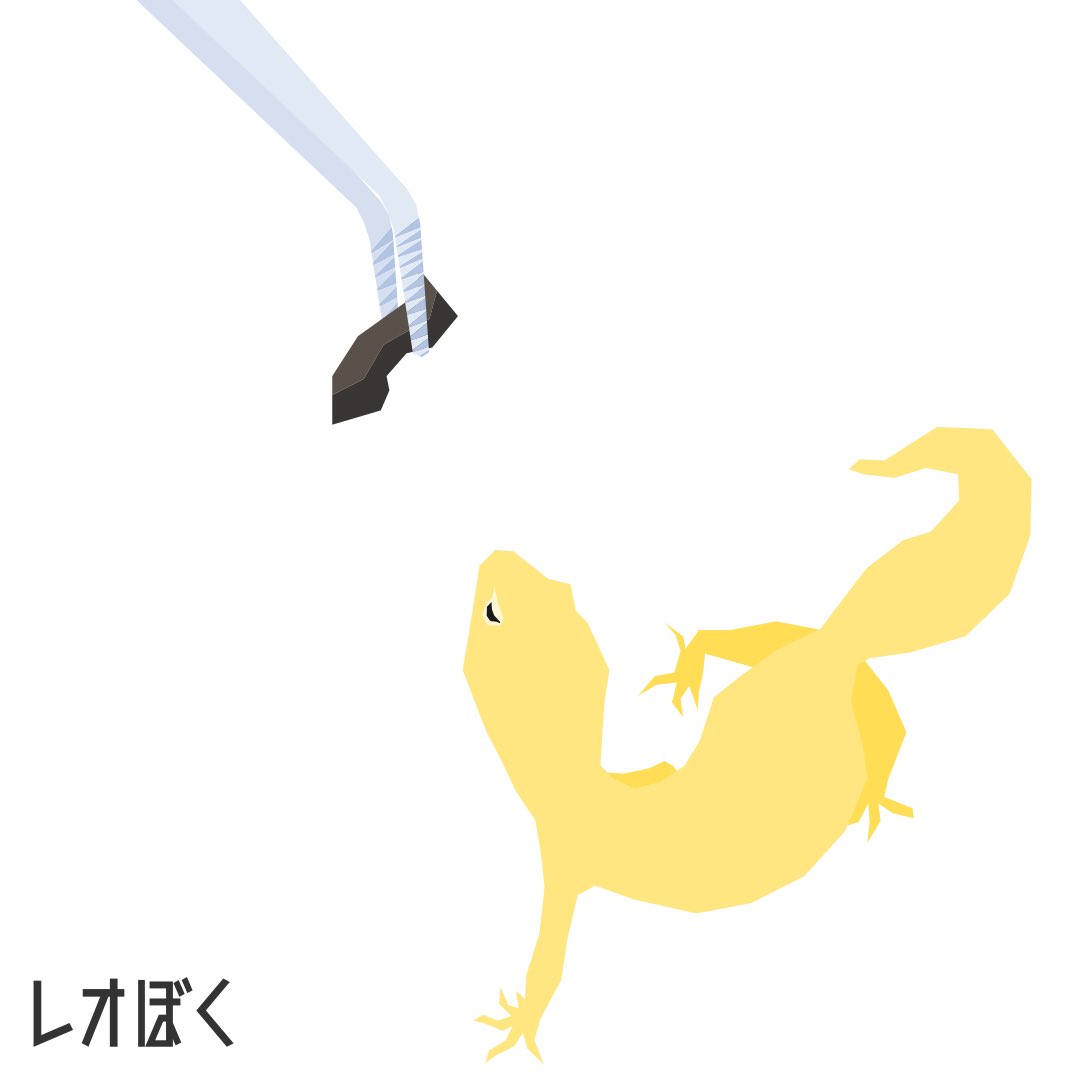 レオパさんとぼく ごはんはレオパゲルです レオパードゲッコー レオパ ヒョウモントカゲモドキ 爬虫類 イラスト デザイン Leopardgecko Reptiles Kawaii Art Illustration Design Graphicdesign T Co Bfdc5pljci Twitter