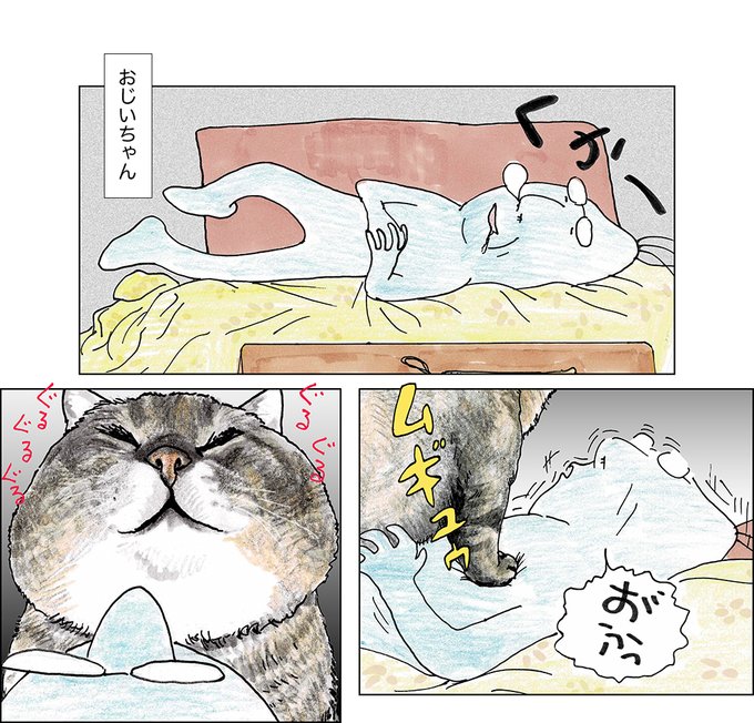 や、どうも。
おじいちゃんも俺も、あいかわらずひる寝ばかりしているよ。
「しゅんみんナントカカントカ」っていうんだって、おじいちゃんが。 