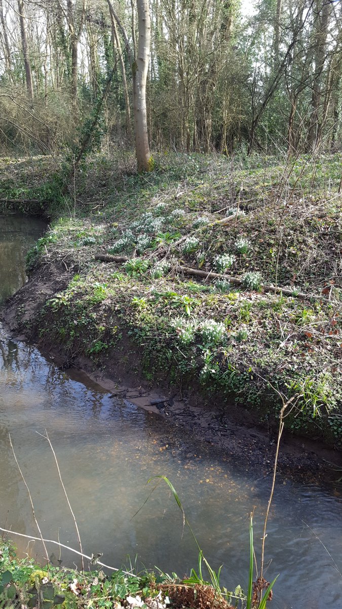 TDResidents's tweet photo. Roll on springtime https://t.co/A4xvnVZXF7
