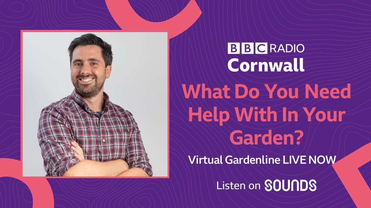 BBC Cornwall on X