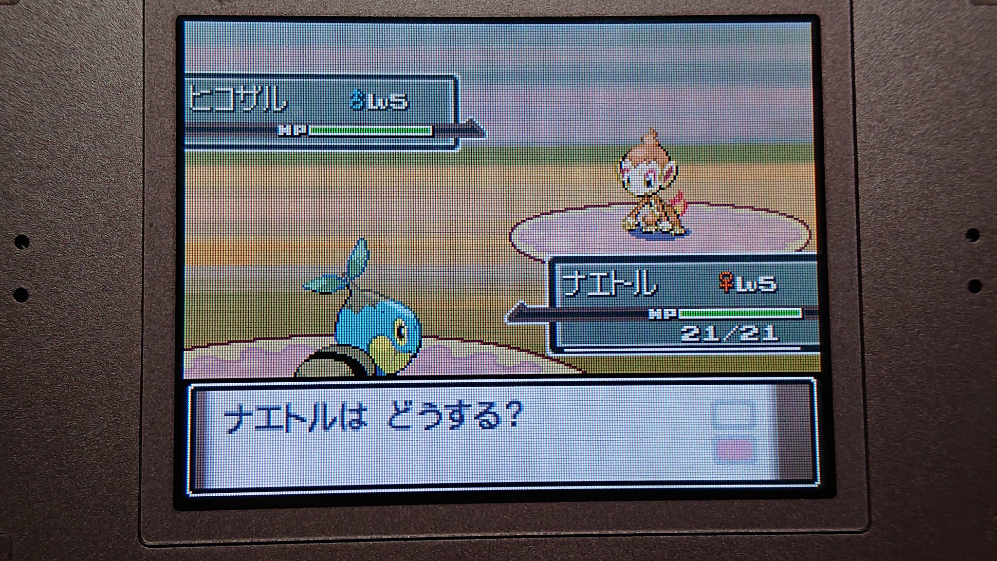 ワタノハル 色違い Watanoharu Twitter