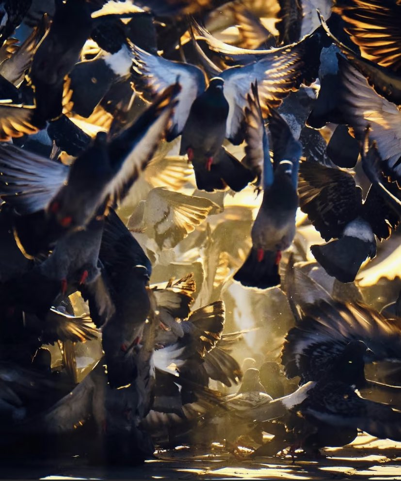 neven223's tweet image. اللهُم بقدر حرصي على عدم إيذاء الآخرين ،جنبني ظلم السيِّئين.