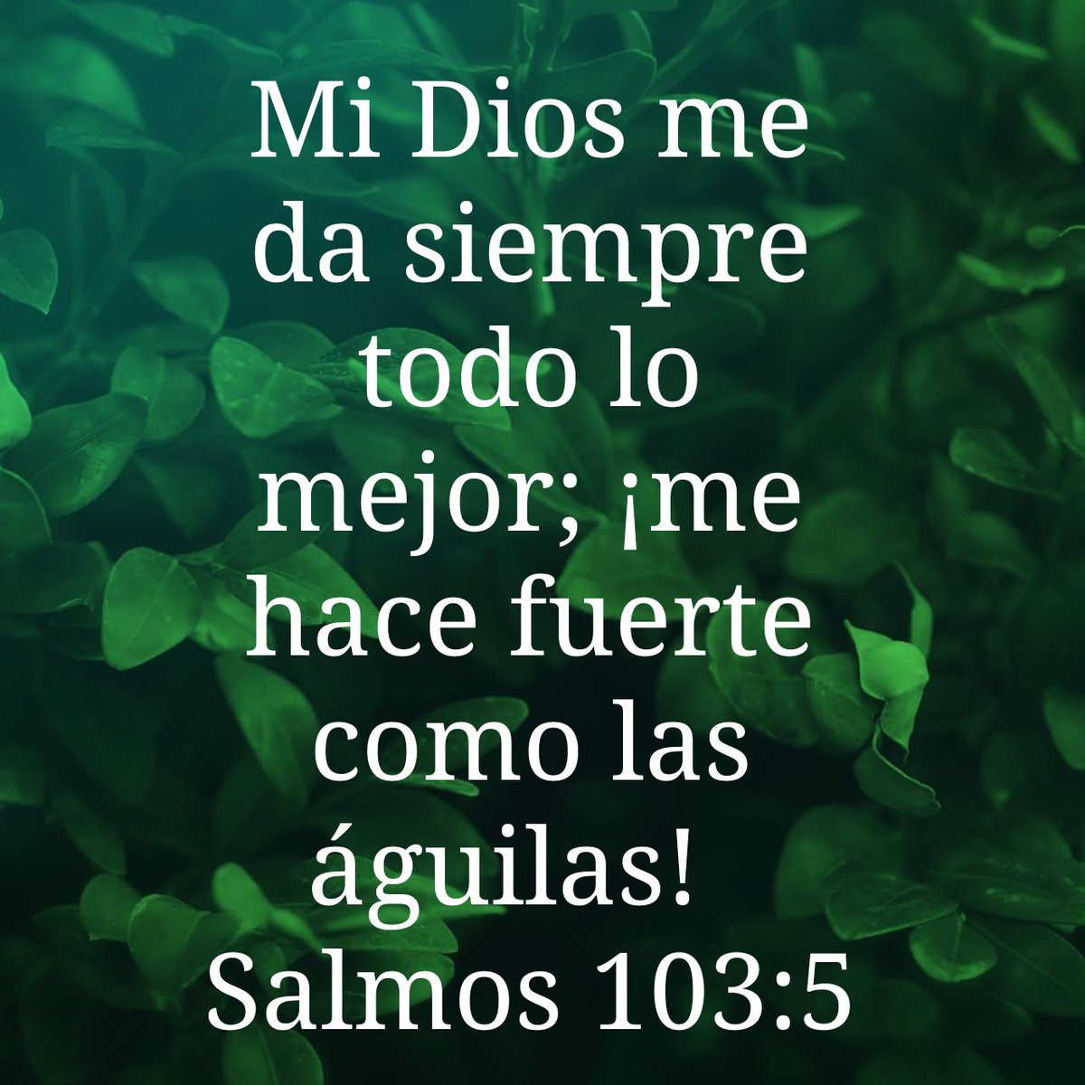 Salmos 103:5 TLA - Mi Dios me da siempre todo lo mejor;¡me - Biblics