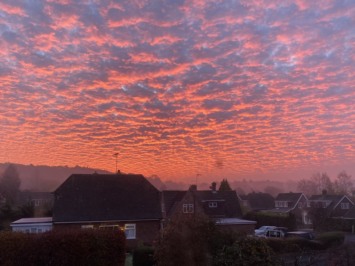 AiredaleThe's tweet photo. Amazing sky’s this morning. 

#SundayMorning #Indiesworld #indietheairedale #sundayvibes #airedale #Airedales #airedalesoftwitter #dogs #dogsoftwitter #sky #clouds #mansbestfriend #redsky https://t.co/m219ZSMVDP