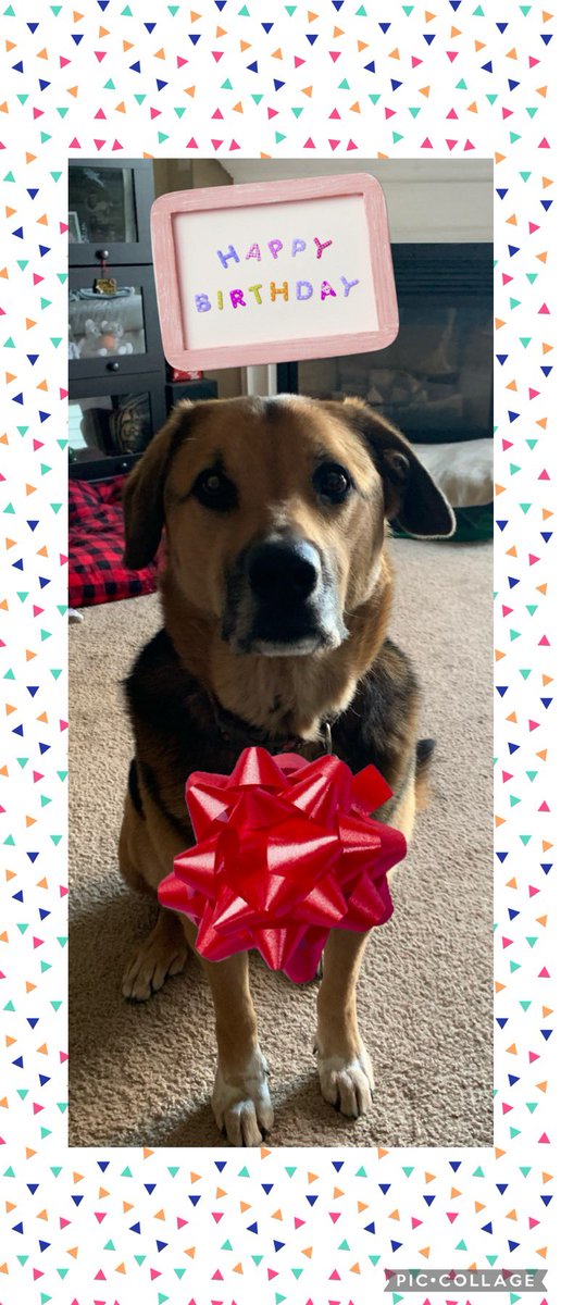 SarahLBarnes47's tweet photo. Happy 4th Birthday to our girl! We love you! @mini_mcneill_ @The_McNeillBMG 🎁🎂🧁🥳 https://t.co/V9mQcfyO1r