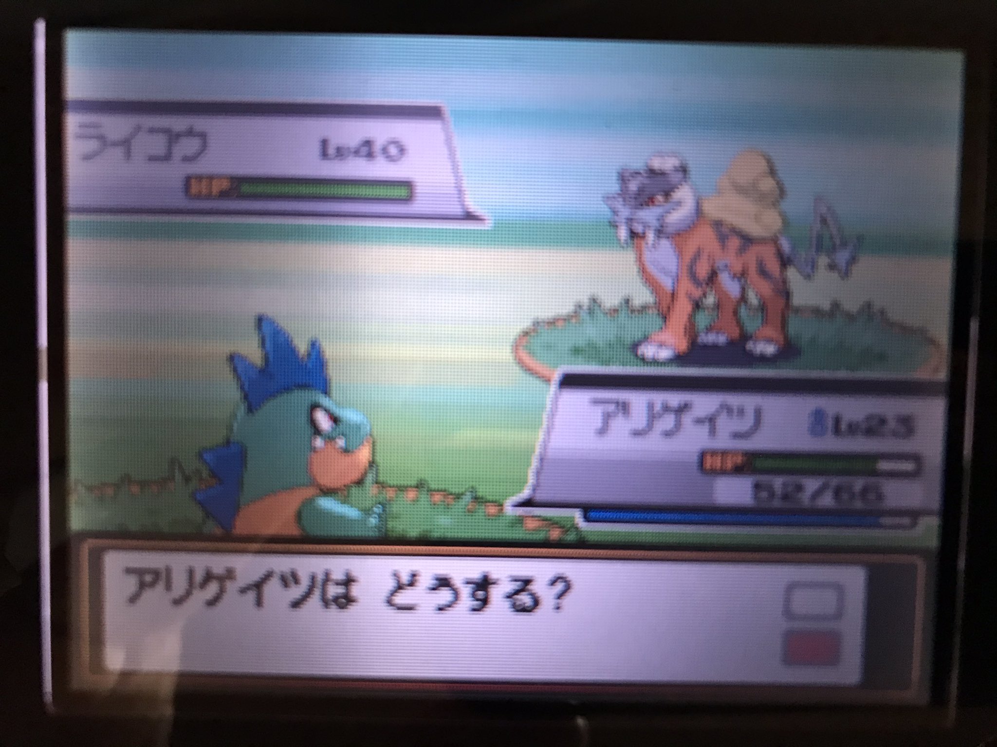 セイ 色ライコウ やけたとう乱数成功しました ポケモン ポケモンhgss T Co Gkeekynty8 Twitter