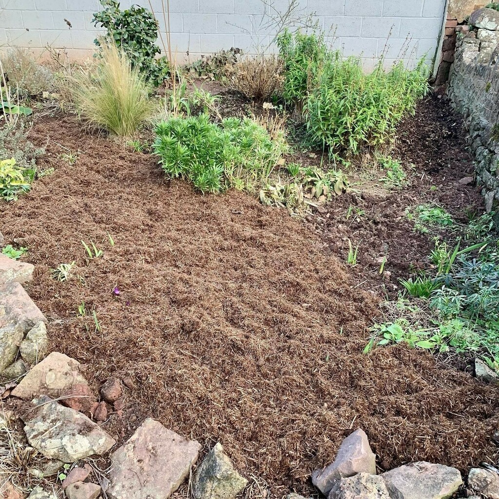 Strulchmulch's tweet photo. As we head towards spring, get prepared by adding Strulch garden mulch.⁠
⁠
Find your nearest stockist or shop direct at https://t.co/cs0atlZQcQ⁠
⁠
#strulch⁠
⁠
📷 @greystonesgarden https://t.co/XmNjvO7Ihc https://t.co/aSOAUKfKGX