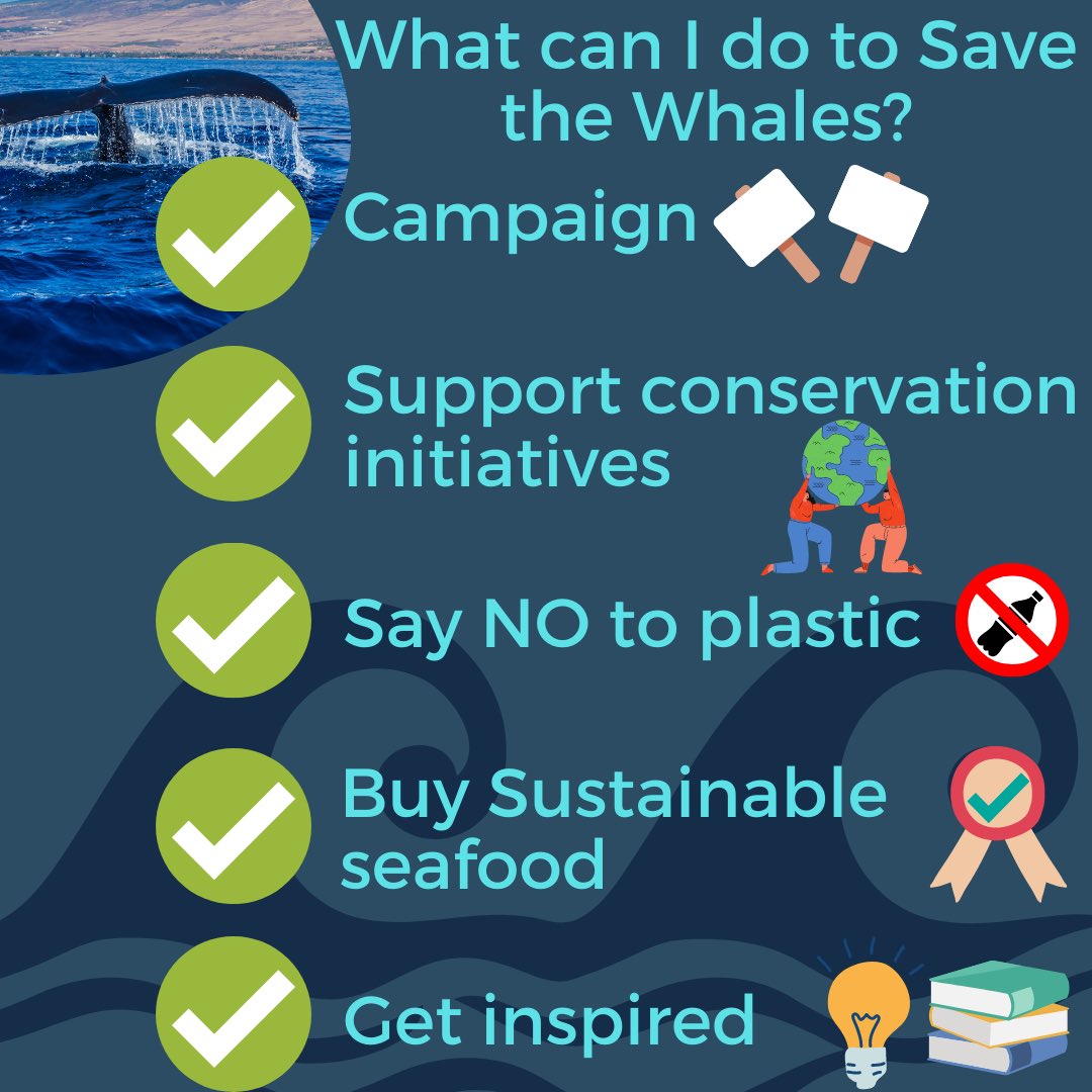 Natural Selection (@uoepodcast) on Twitter photo It’s #WorldWhaleDay 🐋🐳 A day when we celebrate these ocean giants and raise awareness to the challenges they face! One way to show support to protect these amazing creatures is to sign up to <a href="/whalesorg/">Whale and Dolphin Conservation (WDC)</a> ‘Goodbye to Bycatch’ uk.whales.org/our-4-goals/pr… It’s #WorldWhaleDay 🐋🐳 A day when we celebrate these ocean giants and raise awareness to the challenges they face! One way to show support to protect these amazing creatures is to sign up to <a href="/whalesorg/">Whale and Dolphin Conservation (WDC)</a> ‘Goodbye to Bycatch’ uk.whales.org/our-4-goals/pr…