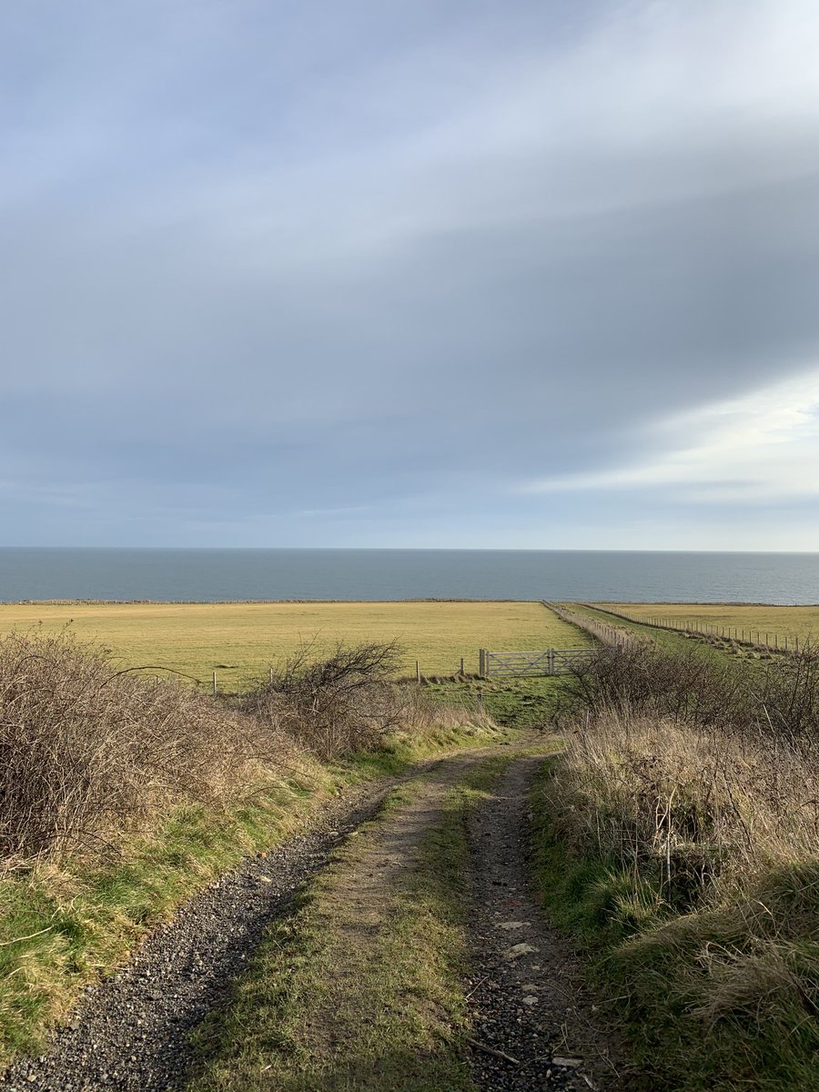 Angela Lockwood OBE tweet media