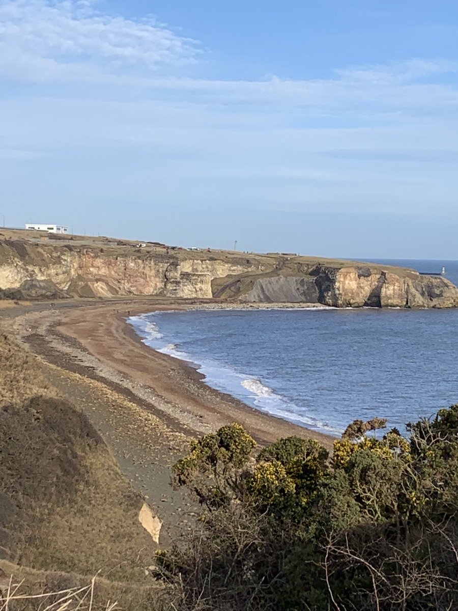 Angela Lockwood OBE tweet media