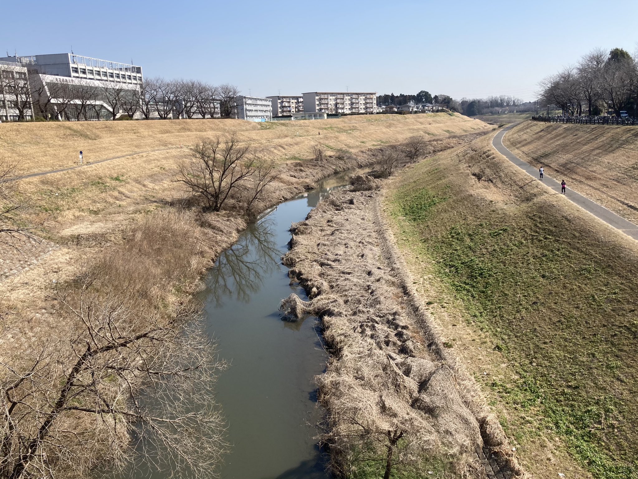 霊波之光 RHKホール落成祝 貝蒔絵漆塗壁掛 株式会社カレンズ謹製 品