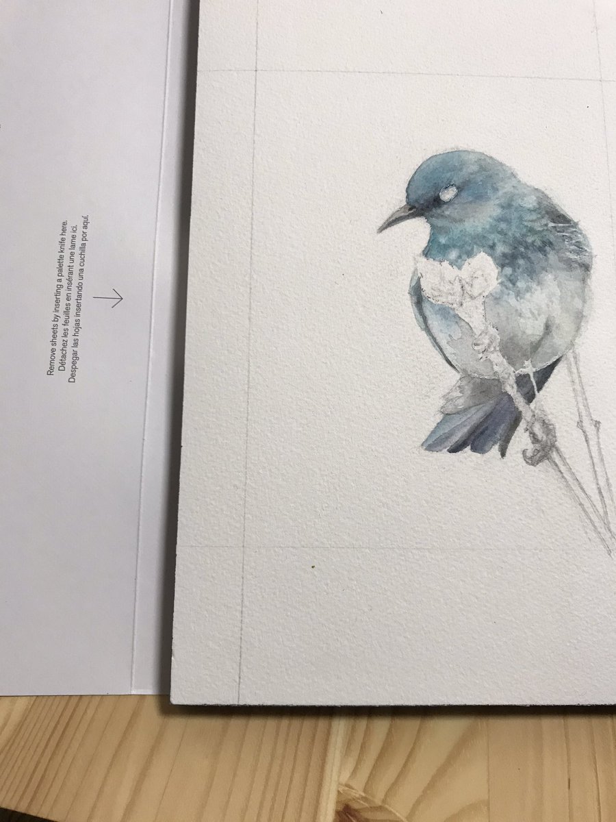 Still in progress for #TAE21 !
#charity @L_I_N_C @twitrartexhibit 
#MountainBlueBird #watercolour #painting #drawing