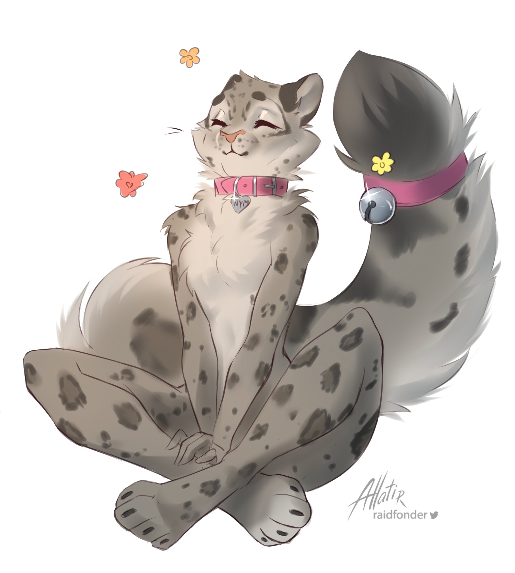 Cute hotsell furry cat