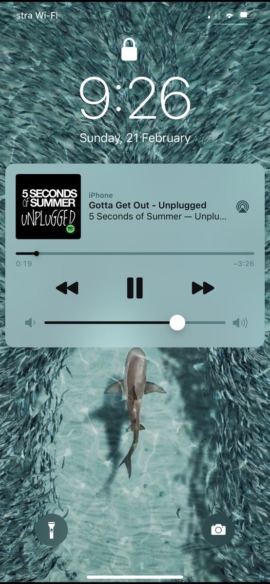 ja_who93's tweet photo. omg fucking stop 😭😭😭🥺❤️ @5SOS https://t.co/8zZ409WhAP
