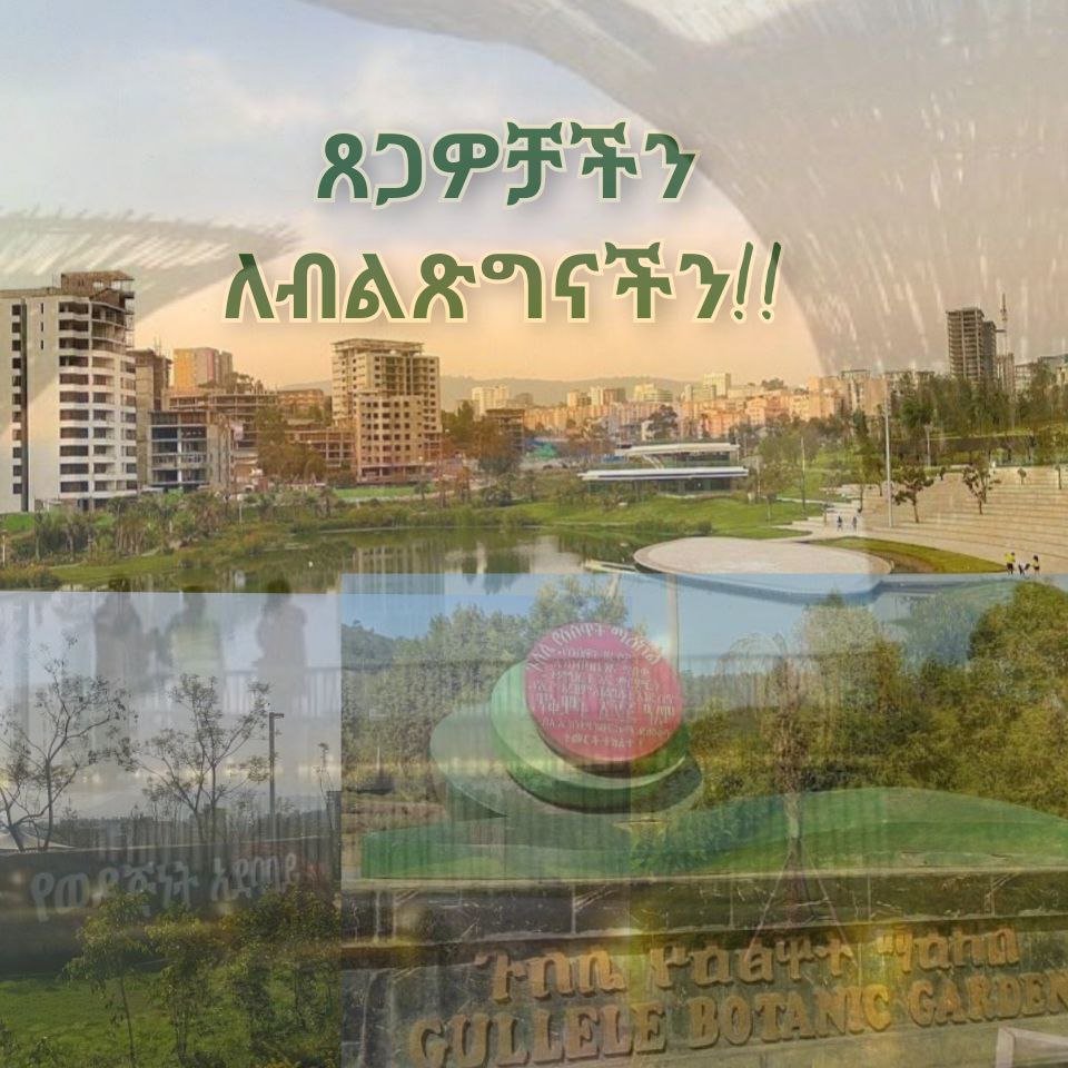 Fitsum32550265's tweet photo. #ጉለሌብልፅግና
  #ጉለሌንበበጎነትእናገልግል
#ሳንካዎችንእያለፍንብልጽግናንእናበራለን
#ጉለሌያችንበህብረብሄራዊአንድነታችንትደምቃለች
#ለከተማችንሁለንተናዊለውጥብልጽግና
#ፀጋዎቻችንለብልጽግናችን https://t.co/dSLDA12uLp