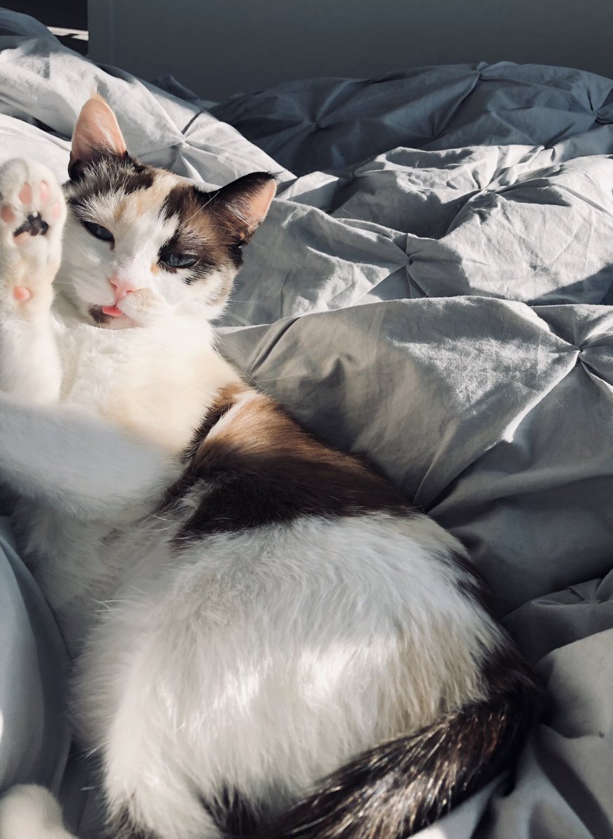 UGHalyson's tweet image. I am obsessed with her