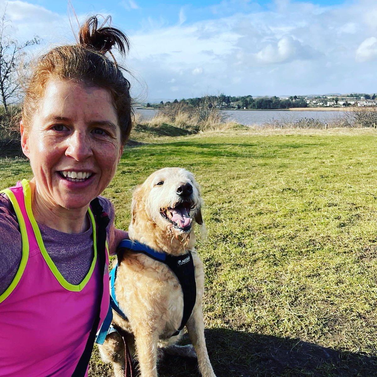 Clairebee26's tweet image. So good to get out today , feeling optimistic #springisintheair ☀️#runningdogs #cutedogsoftwitter
