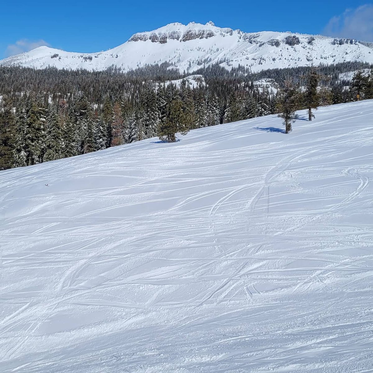 Castle Peak looked so rad yesterday with all the new snow. #CastlePeak #LostDutchman #Boreal #PowDay #IGotFreshies #Snowboarding