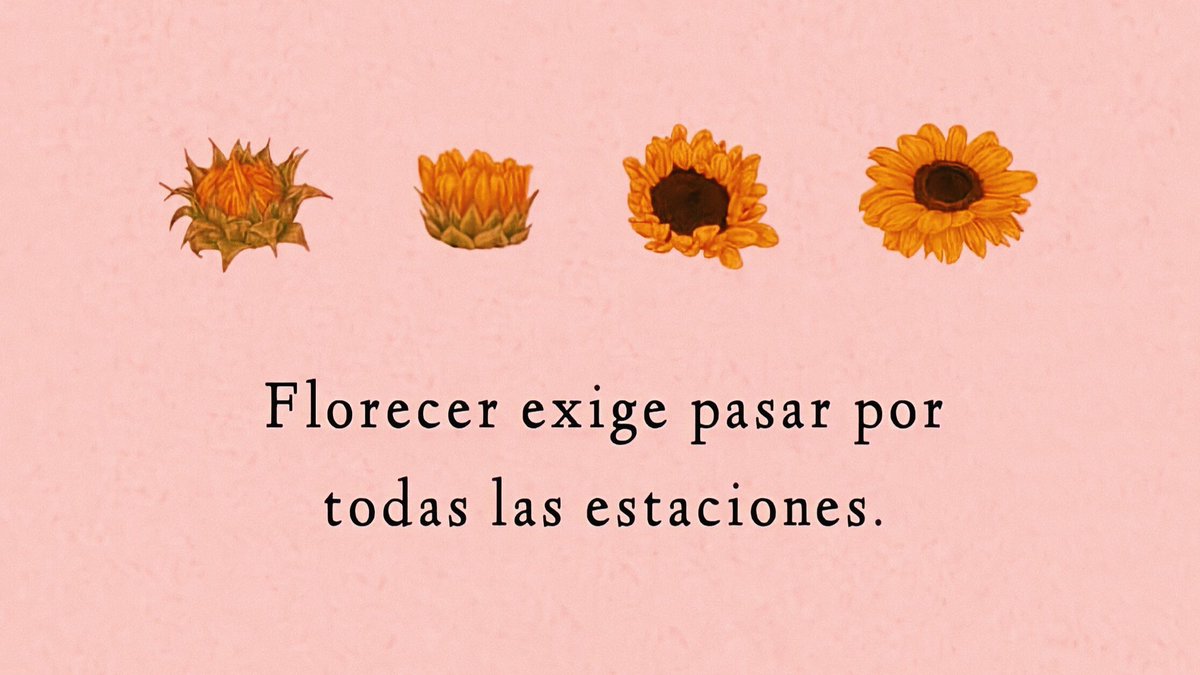 ramé (@escritosrame) on Twitter photo 