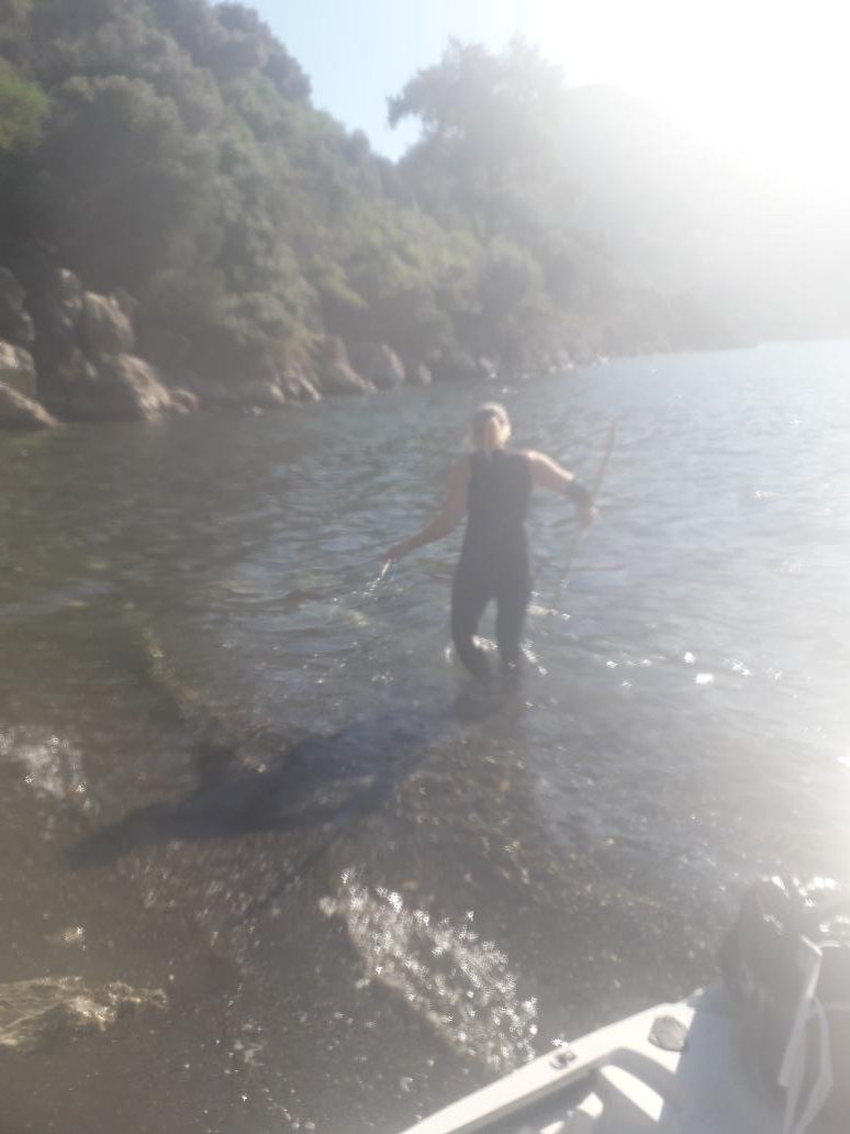 SharonBozkurt's tweet photo. A #plasticocean. We need a wave of change.

#oceanplastic #plasticpollution #plasticfree #ocean #breakfreefromplastic #oceancleanup #saynotoplastic #oceanpollution #savetheocean #singleuseplastic #ecofriendly #environment #oceans #beachcleanup  #climatechange #marinedebris https://t.co/Ytf0pDpsyg