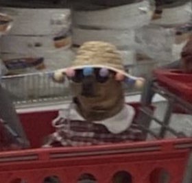 garyfromteenmom's tweet image. me hungover af trying to find the ibuprofen aisle