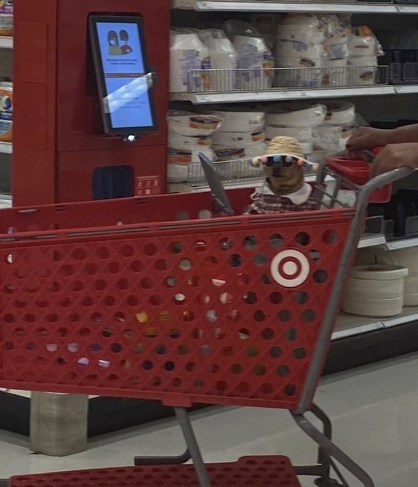 garyfromteenmom's tweet image. me hungover af trying to find the ibuprofen aisle