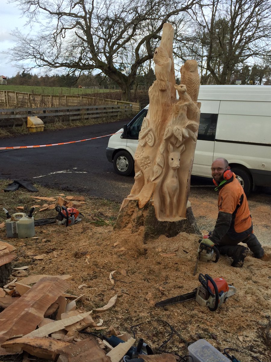 Amazing progress by @jonnychainsaw cant wait for finished carving #muiravonsidecountrypark #chainsawcarving #chainsawart #jonnychainsaw #sculpture