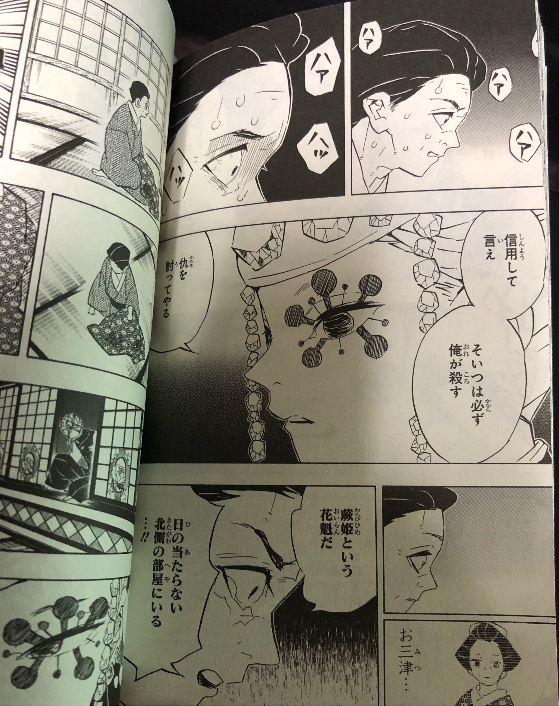 しまだ 鬼滅の刃 遊郭編で一番好きなシーン 京極屋の女将さん お三津さんの死は炭治郎達が潜入する前の犠牲だし 読者にとってはモブのばあさんでしかない小さな話だけど 旦那さんにとっては長年連れ添ったかけがえのない妻を失っているんだよな