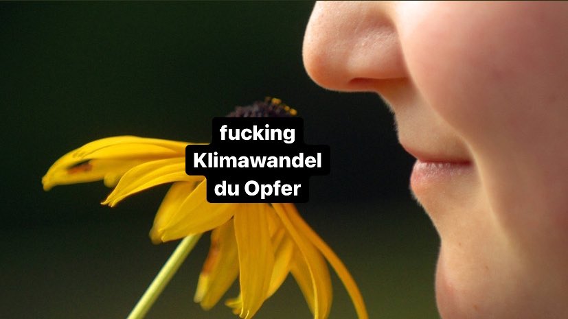 elhotzo's tweet photo. wenn jemand bei 20 Grad im Februar den „Frühling riecht“ https://t.co/l3TXP1eLv9
