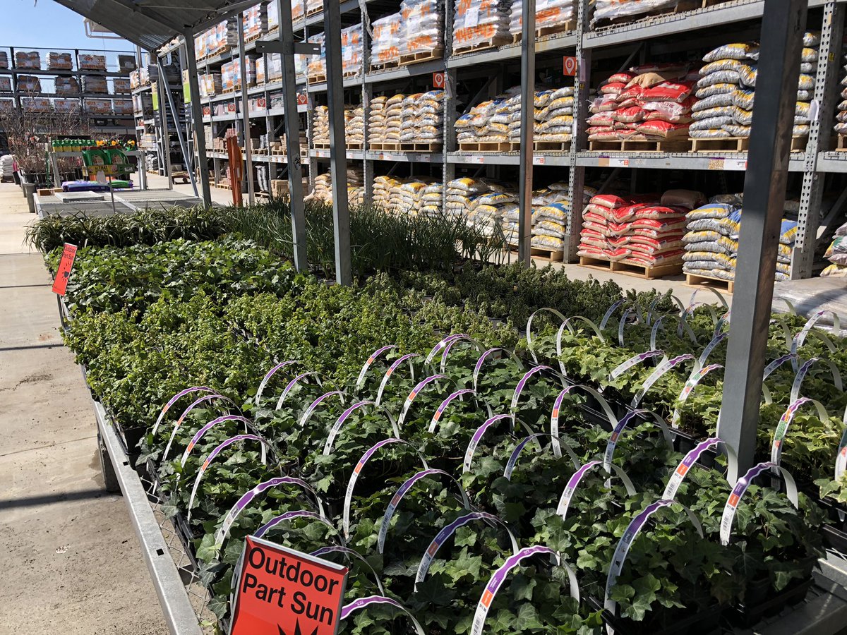 It’s beginning to look like Spring in THD’s at our Coastal CarolinaS ! #feelingtoo #Market57 #growwithit @JimSimmonsHD @Pat_Fischetti @Stephen_E_Camp @pps_s_atlantic @scottburtonthd @StacyWaltonTHD