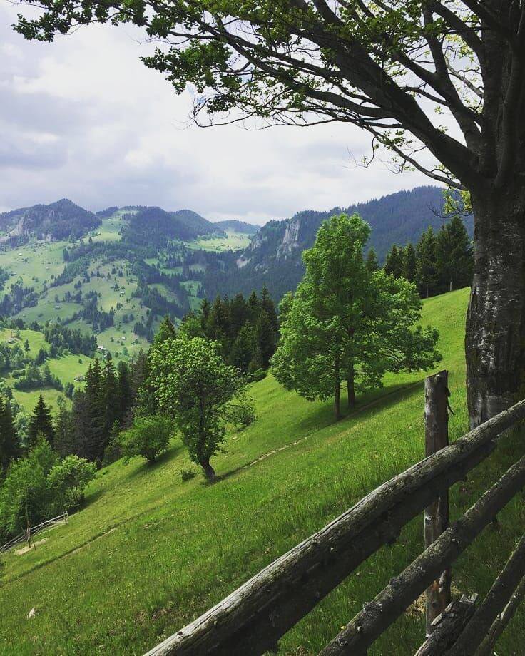 guzelimdoga's tweet photo. Karpat Dağları ⛰️
Çek Cumhuriyeti, Slovakya, Polonya, Ukrayna ve Romanya olmak üzere beş ülkenin toprakları üzerinde yer alır. Tüm Avrupa bitki türlerinin üçte birinden fazlası için yaşam alanı sağlar. Doğal mineralli sular bakımından oldukça zengindir. https://t.co/wredwF77z5