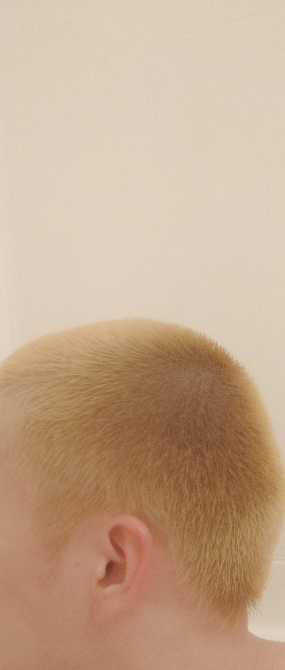 スケ 坊主しか勝たん 坊主でもハイトーンカラーにして１センチ残してグリースタイプはワックスつければいい感じになるんよー ダサいとは言わせん T Co Sqwec9vnkt Twitter