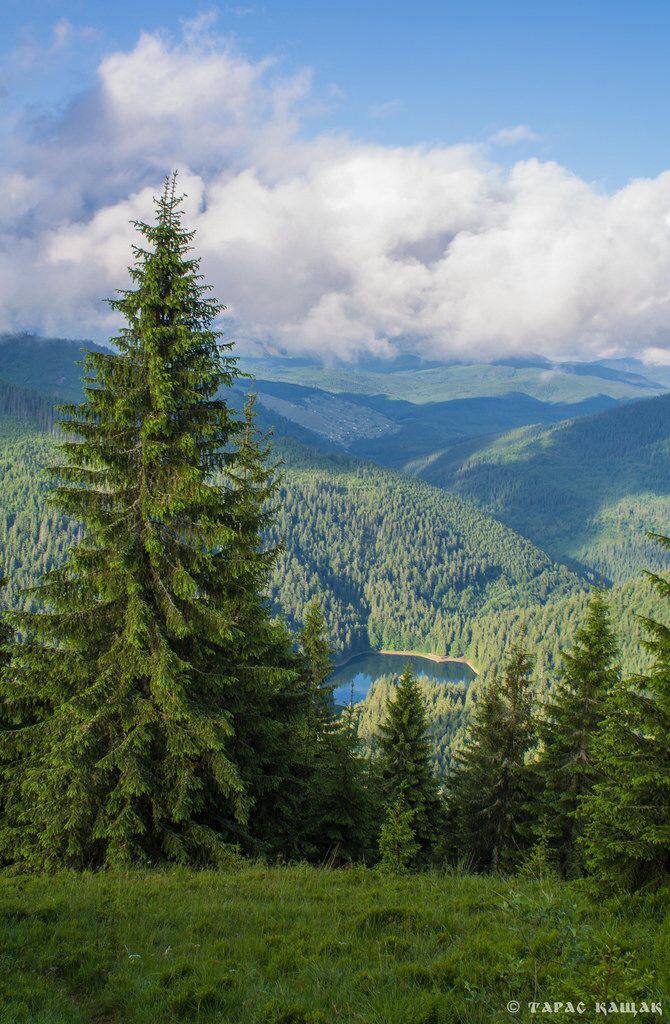guzelimdoga's tweet photo. Karpat Dağları ⛰️
Çek Cumhuriyeti, Slovakya, Polonya, Ukrayna ve Romanya olmak üzere beş ülkenin toprakları üzerinde yer alır. Tüm Avrupa bitki türlerinin üçte birinden fazlası için yaşam alanı sağlar. Doğal mineralli sular bakımından oldukça zengindir. https://t.co/wredwF77z5