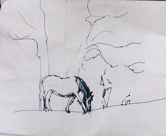 "Pod" the old horse, grazing on a turn around Rushmere, with companions; a lady and a dog (from <a href="/wvstables/">WVStables</a>?) Bringing joy and wonder to the world