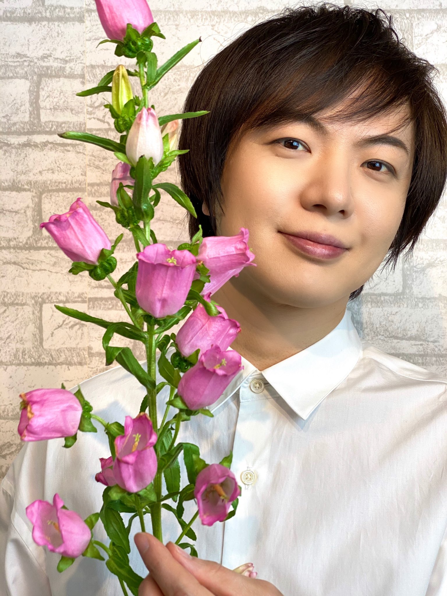 竹島宏スタッフ 公式 カンパニュラ チャンピオンピンク 花言葉は 感謝 誠実 皆さんに届けたい花言葉 あたたかい日でしたね 今日も１日お疲れ様でした ひろネット 花便り 花言葉 花 花を贈ろう カンパニュラ 花のある暮らし 感謝
